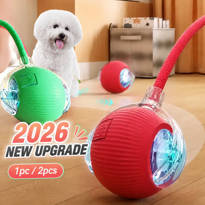 VELNA Interactive Dog Ball – photo 1