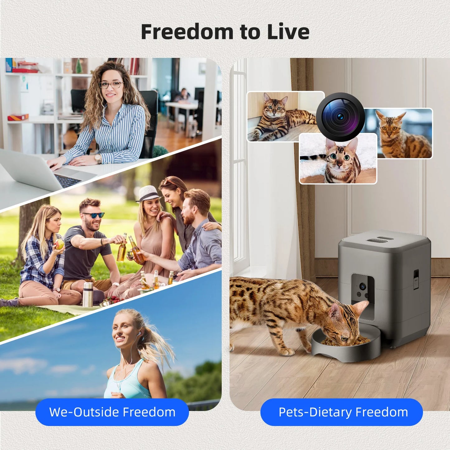Velna Automatic Pet Feeder with a cat eating