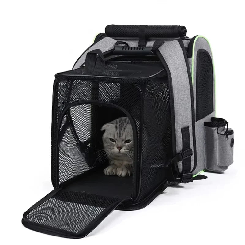 Velna Pet Backpack Carrier worn on the back with padded straps