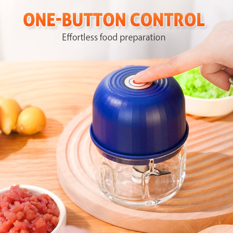 Velna Electric Mini Food Chopper — bowl and stainless blades